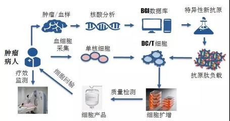 煜森資本:華大吉諾因攜「腫瘤新生抗原」誘導(dǎo)的CTL技術(shù)亮相AACR