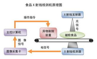 食品生物技術(shù)的發(fā)展趨勢(shì)