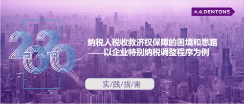 納稅人稅收救濟(jì)權(quán)保障的困境和思路 以企業(yè)特別納稅調(diào)整程序?yàn)槔蟪?實(shí)踐指南