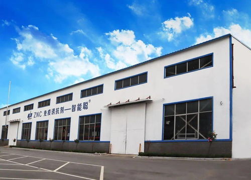 關(guān)注 堅(jiān)持科技創(chuàng)新 這家企業(yè)得以蓬勃發(fā)展