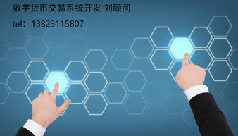 q幣 q幣的分類