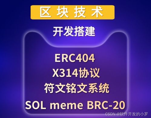 區(qū)塊鏈技術(shù)開發(fā) x314協(xié)議 智能合約 公鏈搭建 錢包開發(fā)