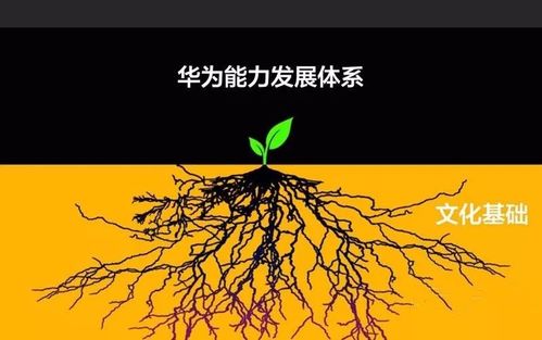 華為管理者培養(yǎng)完整路徑圖 建議收藏